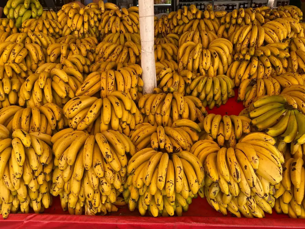 Philippine Bananas/ per bunch