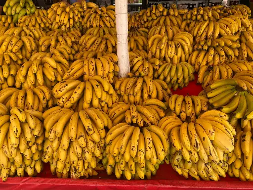 Philippine Bananas/ per bunch